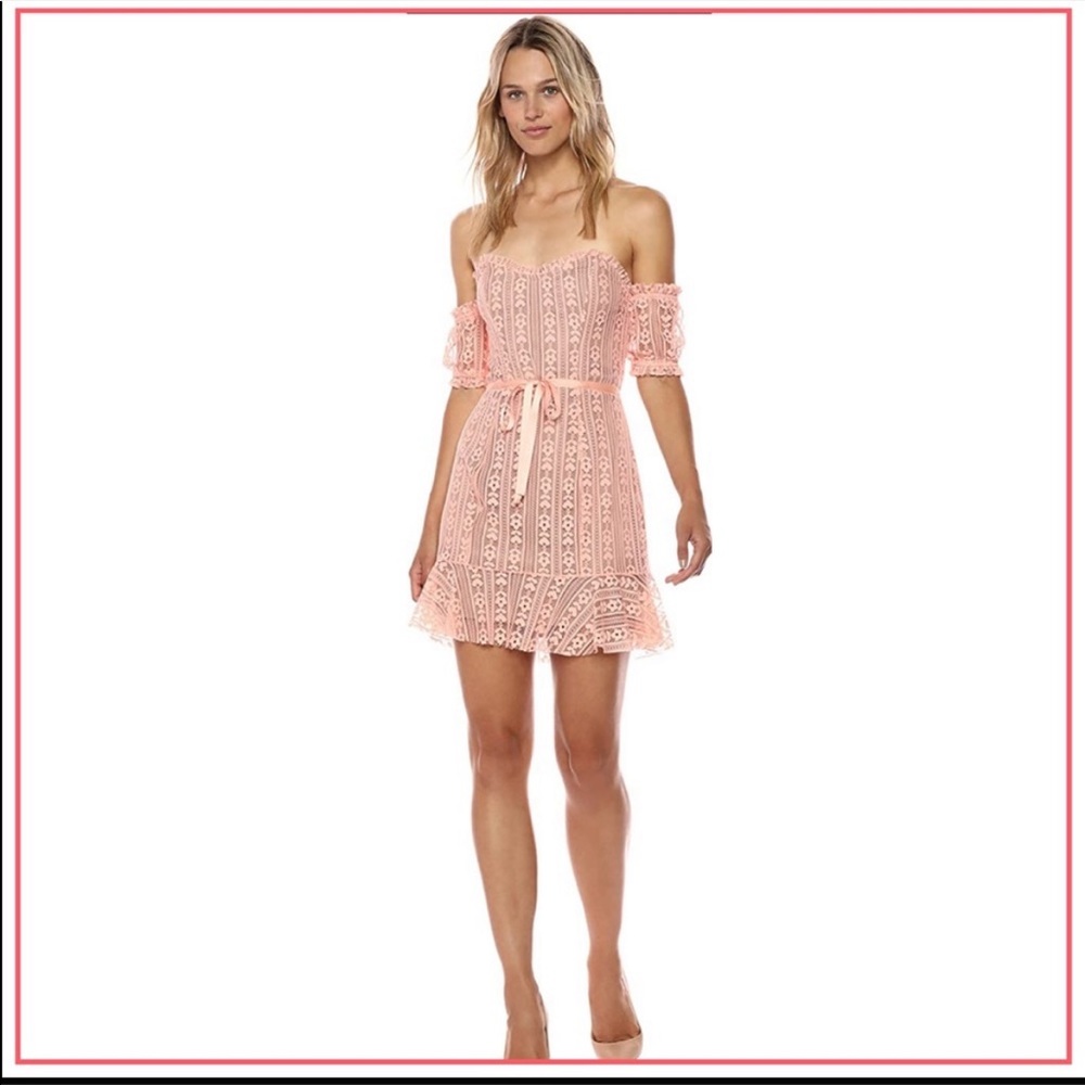 NWT For Love and Lemons Dakota Lace mini dress pink